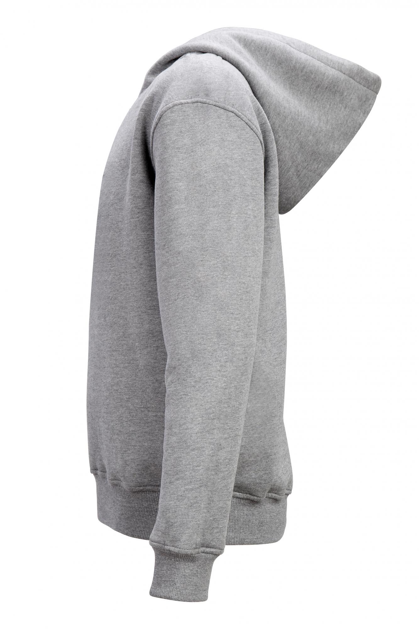 Levis Hoodie Grijs