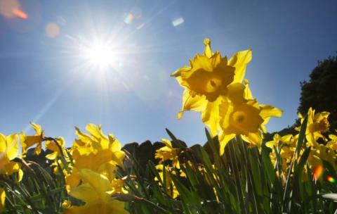 Zomerse temperaturen